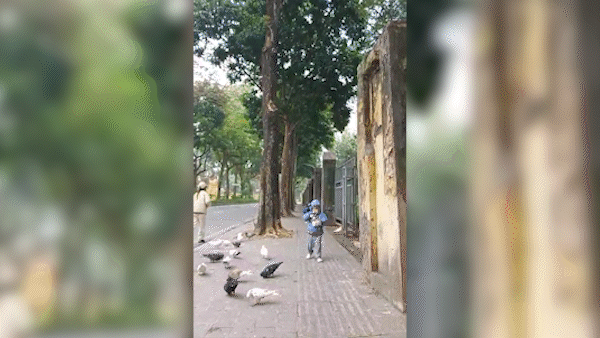  Bắc bộ rét về đêm và sáng sớm