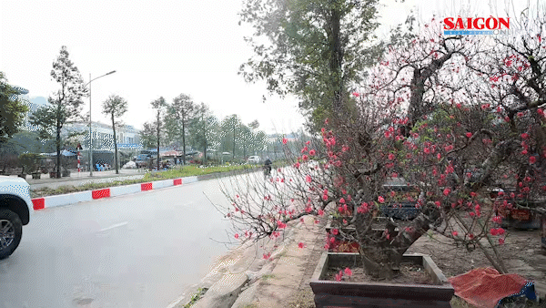 Dự báo miền Bắc có không khí lạnh vào mùng 1 Tết Bính Ngọ