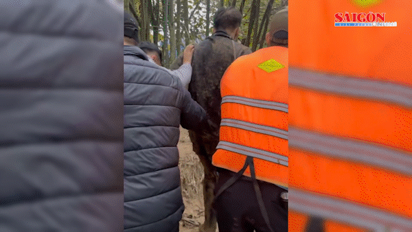 Truy bắt đối tượng buôn bán ma túy bỏ trốn trong rừng sâu