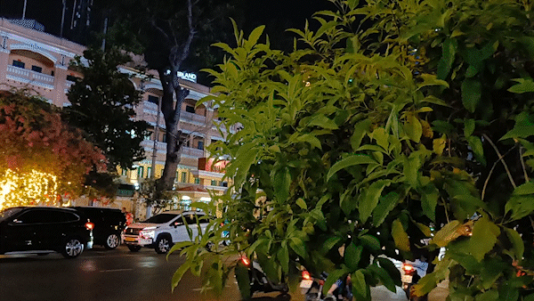 Chất lượng không khí ở TPHCM đang ở mức tốt