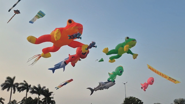 Hàng ngàn người đổ về xem thả diều nghệ thuật ở Cần Thơ 