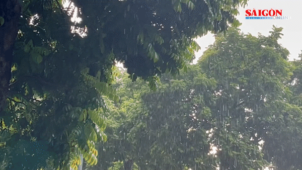 Mưa dông ở Bắc bộ, Nam bộ nắng nóng