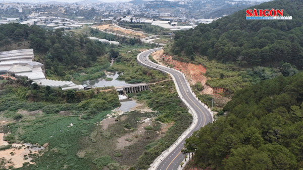 “Dải lụa” xanh trên cung đường vành đai Đà Lạt