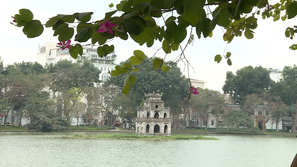 Hà Nội sắp có mưa dông 