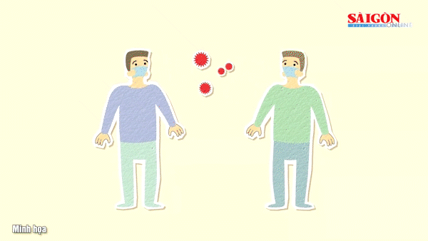 Bộ Y tế thông tin mới nhất về virus Hanta 
