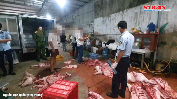 Chuyển cơ quan công an điều tra vụ gần 1 tấn thịt heo nghi nhiễm tả heo châu Phi 