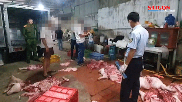 Chuyển cơ quan công an điều tra vụ gần 1 tấn thịt nghi nhiễm dịch tả heo châu Phi