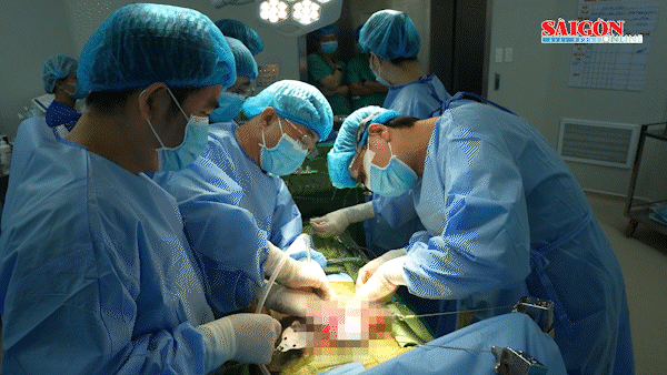 Em trai hiến gan cứu anh bị ung thư