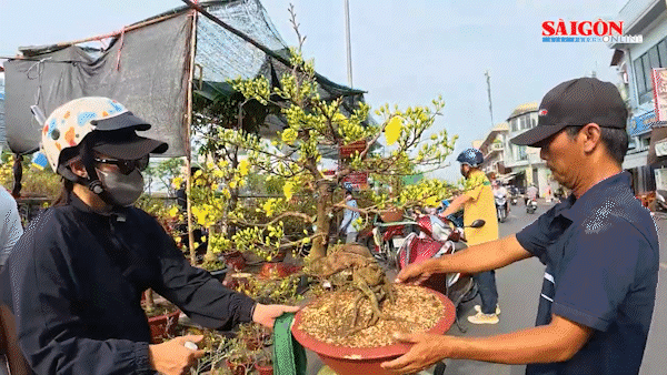 Công chức, viên chức được nghỉ Tết Nguyên đán Đinh Mùi 2027 liên tục 7 ngày