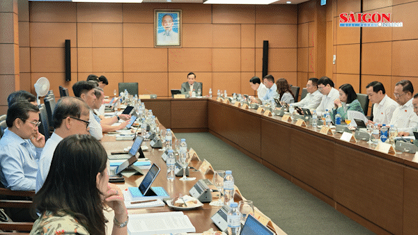 Bí thư Thành ủy TPHCM Trần Lưu Quang: TPHCM nỗ lực tăng trưởng, đóng góp cho kinh tế quốc gia