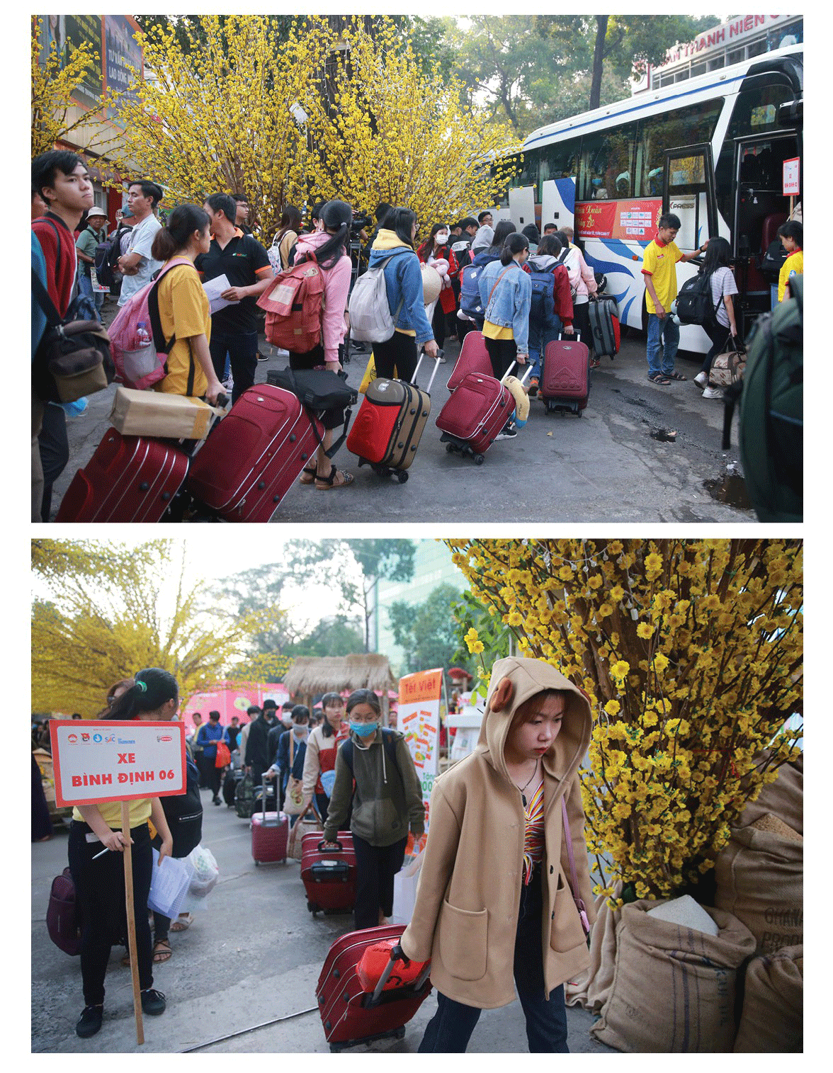 HCMC presents Tet bus tickets to disadvantaged students ảnh 1