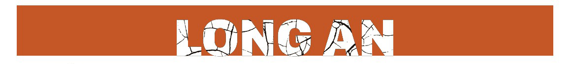 Mekong Delta grapples with drought, saltwater intrusion ảnh 10