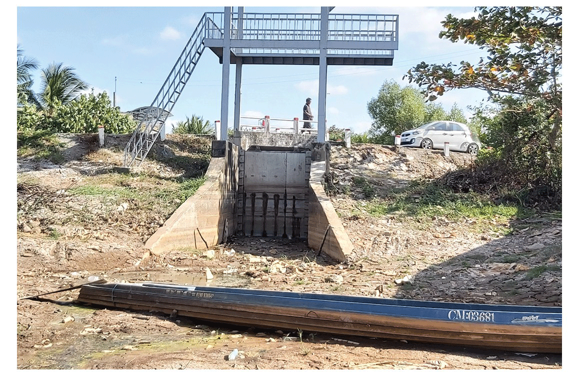 Mekong Delta grapples with drought, saltwater intrusion ảnh 2