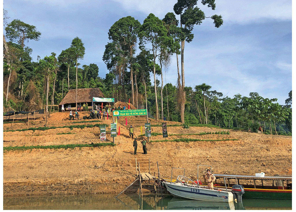 Quang Nam Province plans to turn Song Thanh Nature Reserve into national park ảnh 3