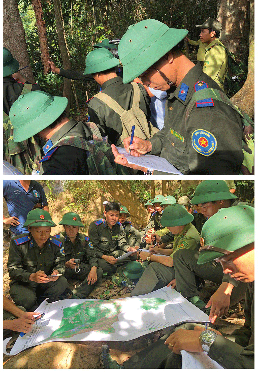 Quang Nam Province plans to turn Song Thanh Nature Reserve into national park ảnh 4