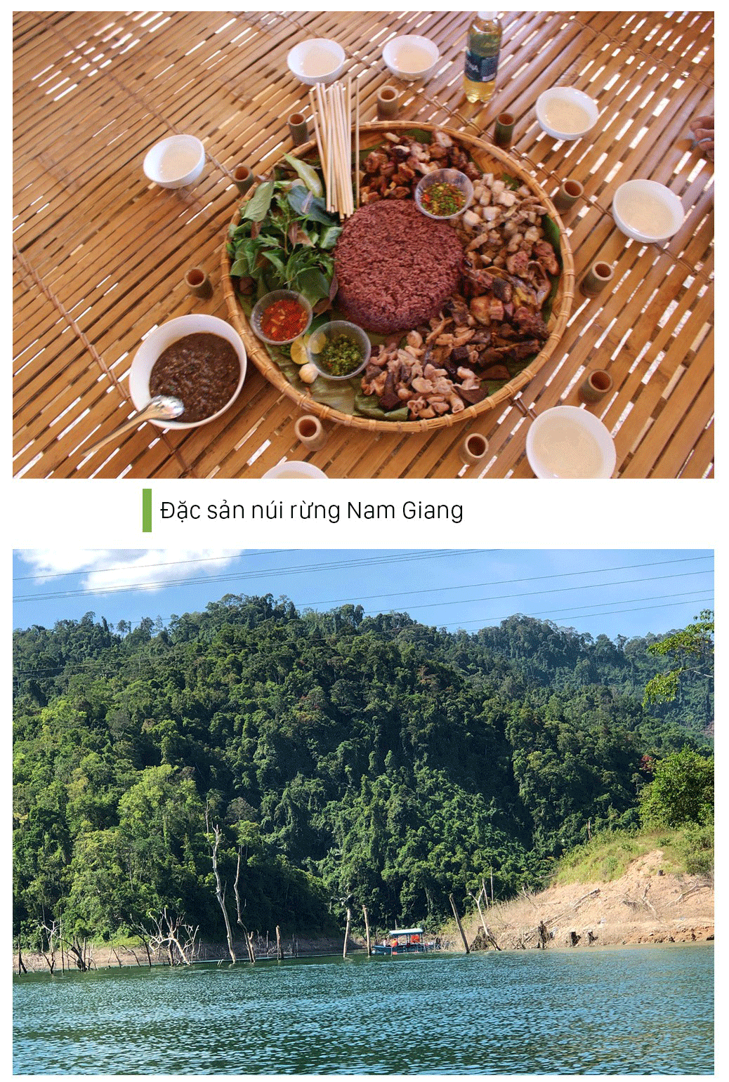 Quang Nam Province plans to turn Song Thanh Nature Reserve into national park ảnh 9