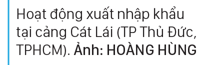 Nghị quyết mới tạo động lực để TPHCM phát triển ảnh 6