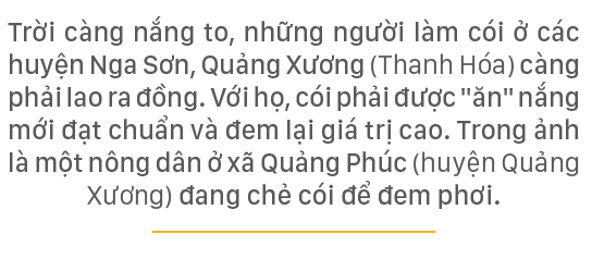 Muôn kiểu “trần mình” trong nắng nóng ảnh 7