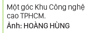 Nghị quyết 98 - Những cơ chế, chính sách đặc thù vượt trội để TPHCM phát triển xứng tầm ảnh 21