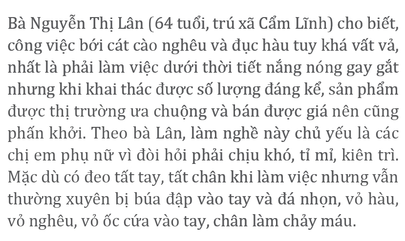 Bới cát cào nghêu, đục hàu bên cửa biển ảnh 11