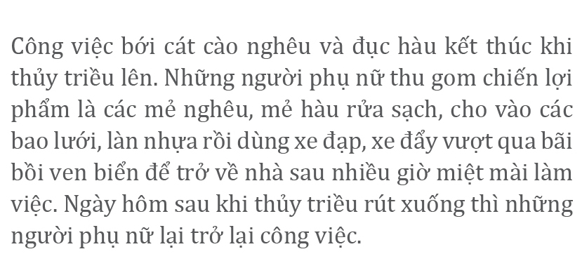 Bới cát cào nghêu, đục hàu bên cửa biển ảnh 13