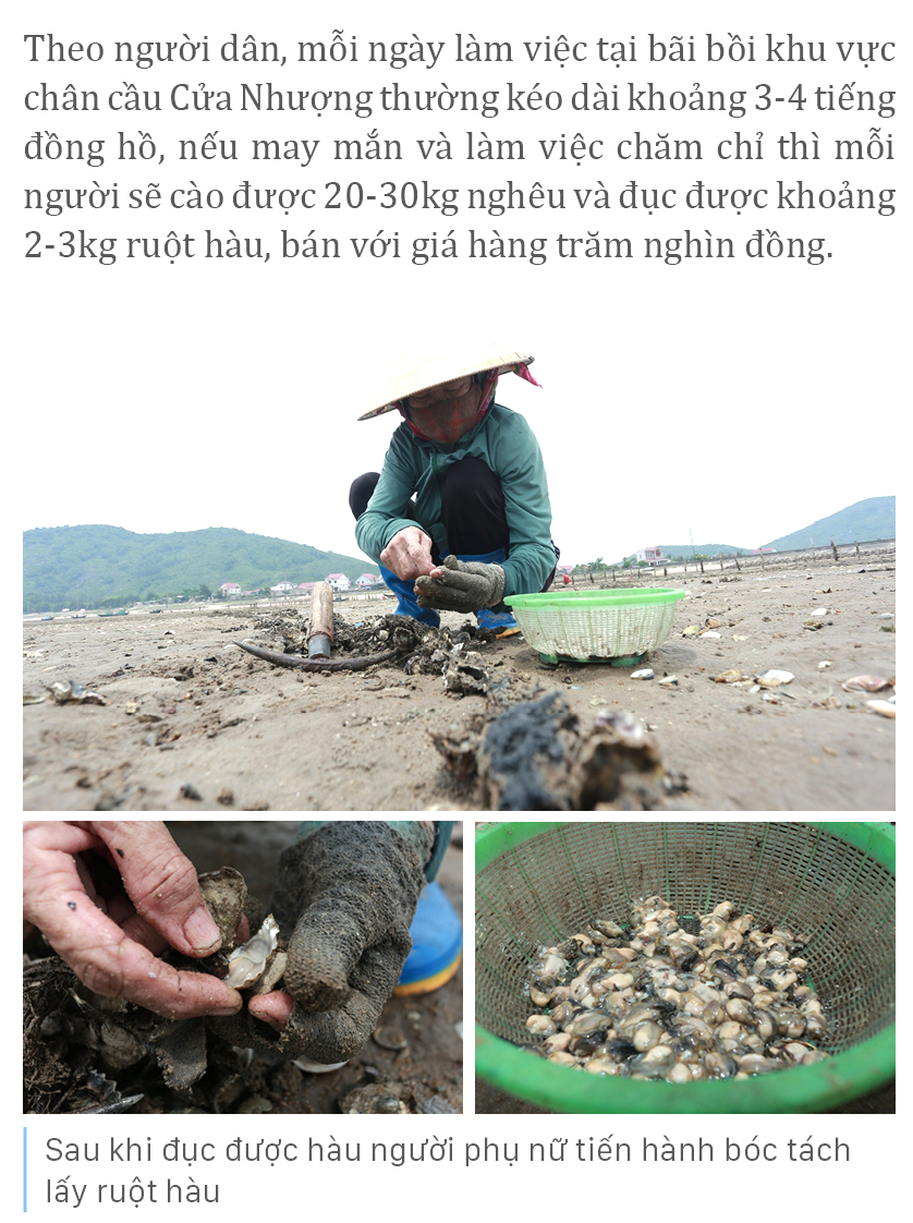 Bới cát cào nghêu, đục hàu bên cửa biển ảnh 16