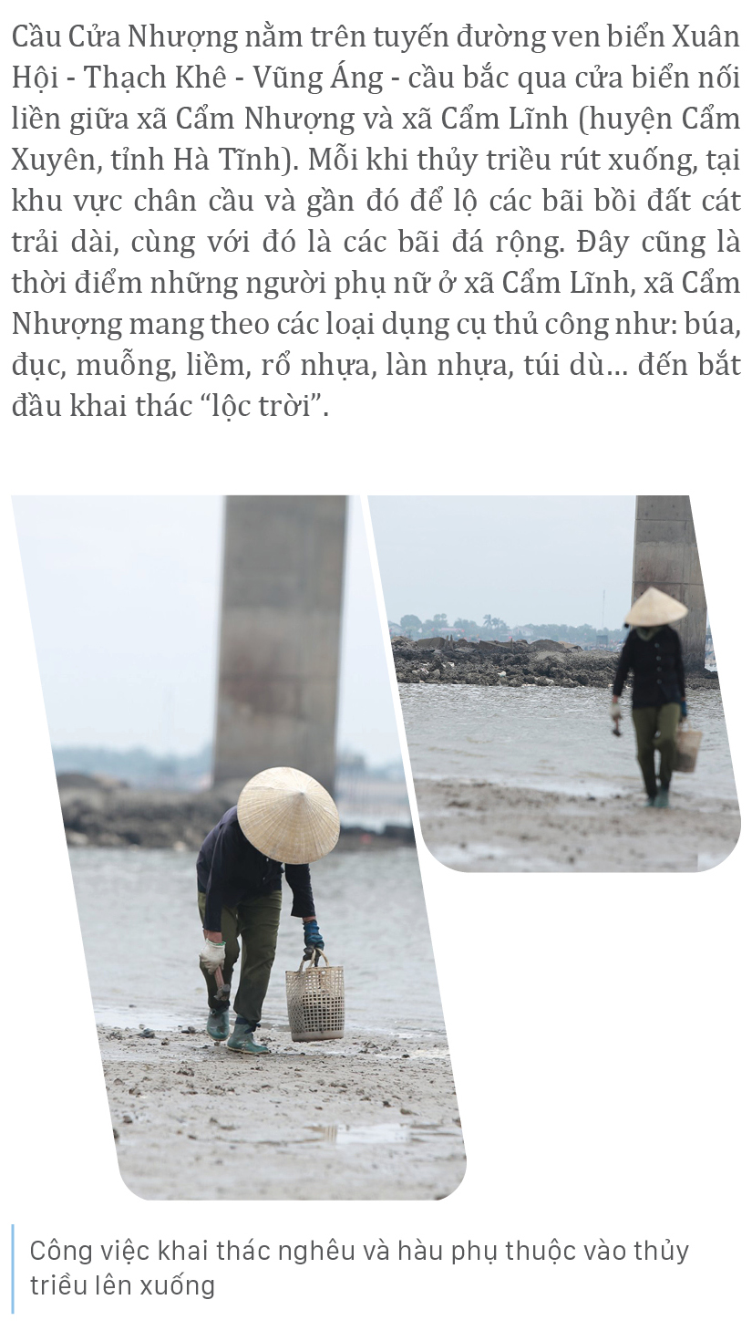 Bới cát cào nghêu, đục hàu bên cửa biển ảnh 4