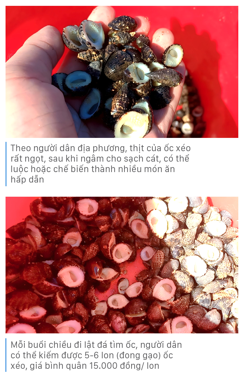 Đục hàu mùa nước cạn ảnh 13