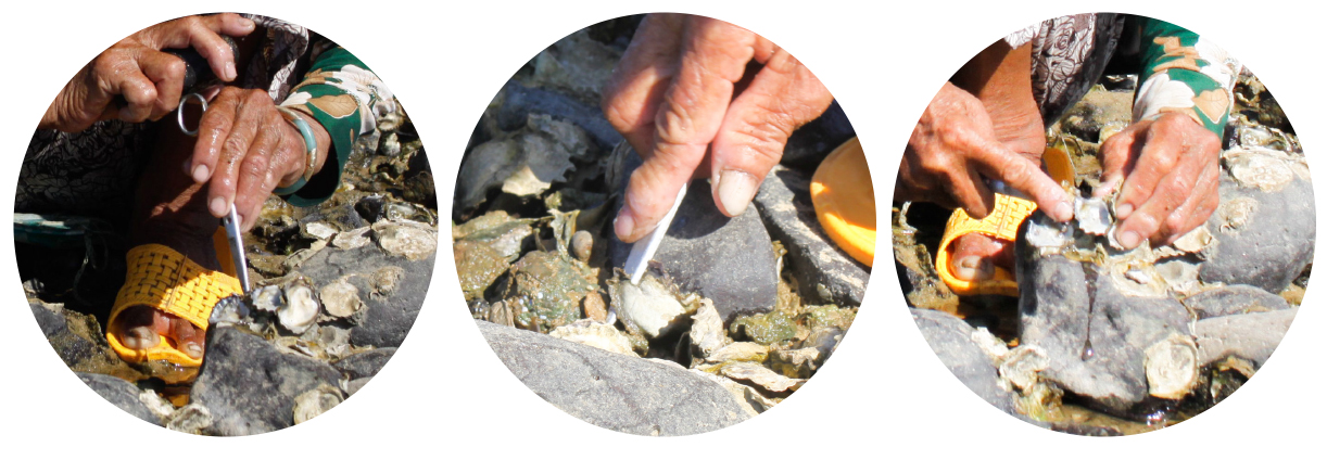 Đục hàu mùa nước cạn ảnh 3