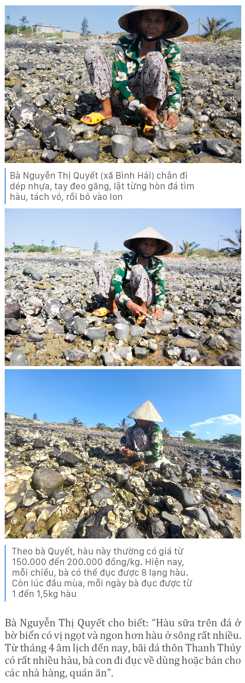 Đục hàu mùa nước cạn ảnh 4