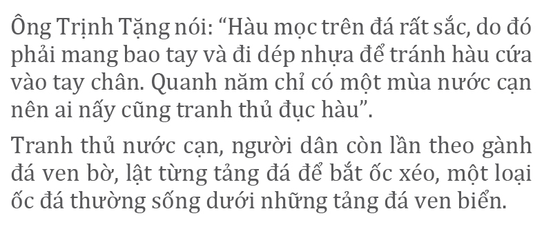 Đục hàu mùa nước cạn ảnh 9