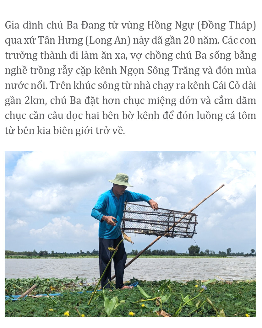 Gió trên đồng thổi nhẹ ảnh 10