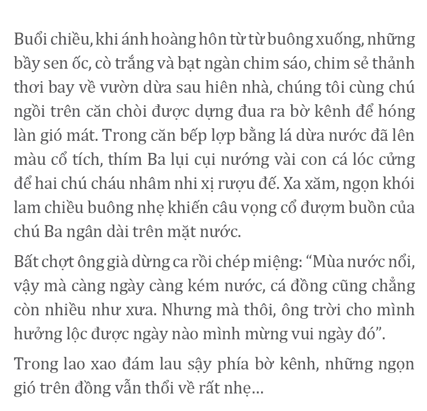 Gió trên đồng thổi nhẹ ảnh 11