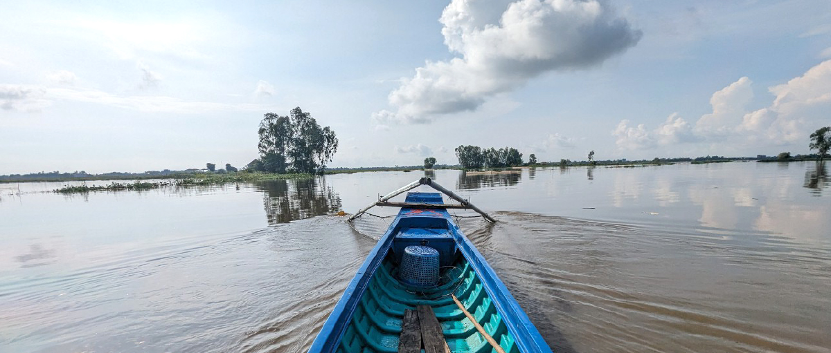 Gió trên đồng thổi nhẹ ảnh 12