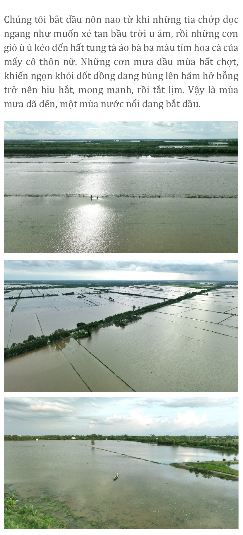 Gió trên đồng thổi nhẹ ảnh 2