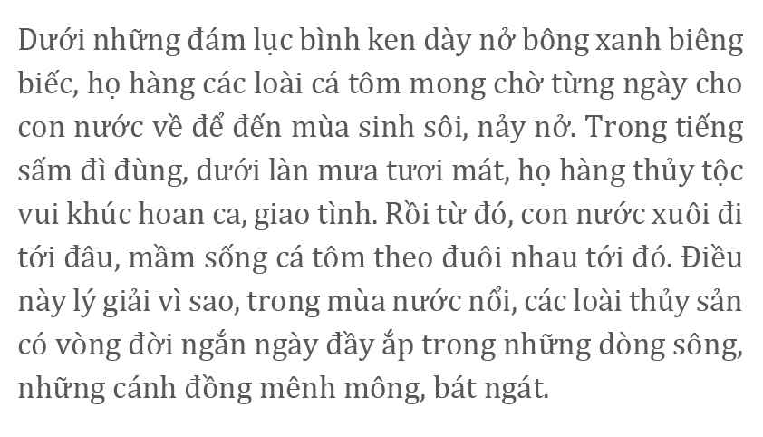 Gió trên đồng thổi nhẹ ảnh 4