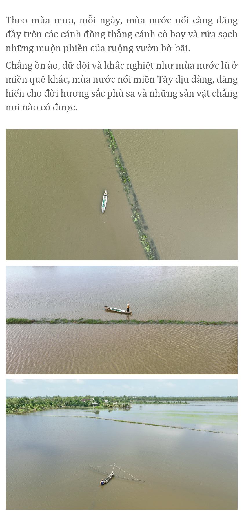 Gió trên đồng thổi nhẹ ảnh 6