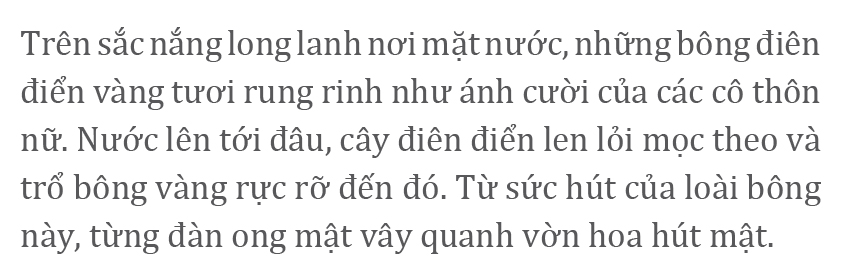 Gió trên đồng thổi nhẹ ảnh 7