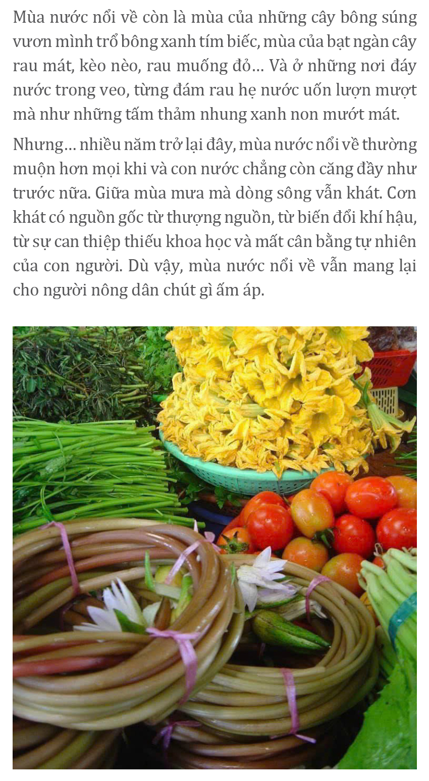 Gió trên đồng thổi nhẹ ảnh 9