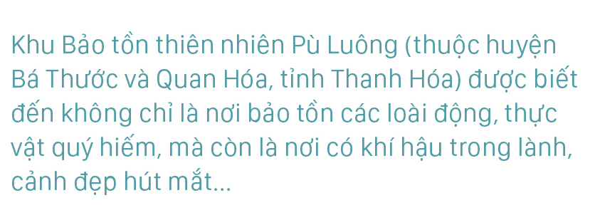 Pù Luông - Sức hút nơi miền xanh thẳm ảnh 1