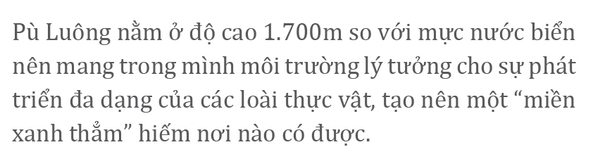 Pù Luông - Sức hút nơi miền xanh thẳm ảnh 4