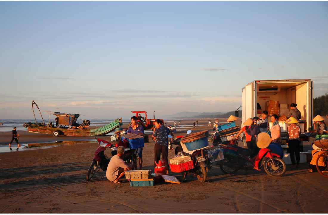 Bình minh làng biển ảnh 17