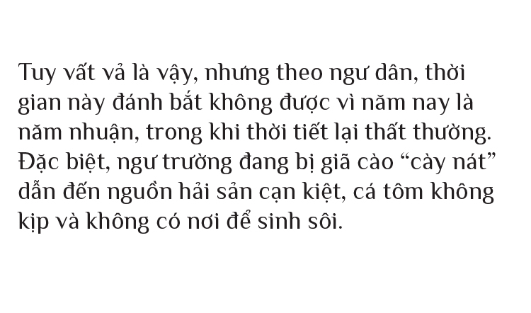 Bình minh làng biển ảnh 19