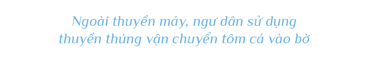Bình minh ở chợ cá lớn nhất Quảng Nam ảnh 7