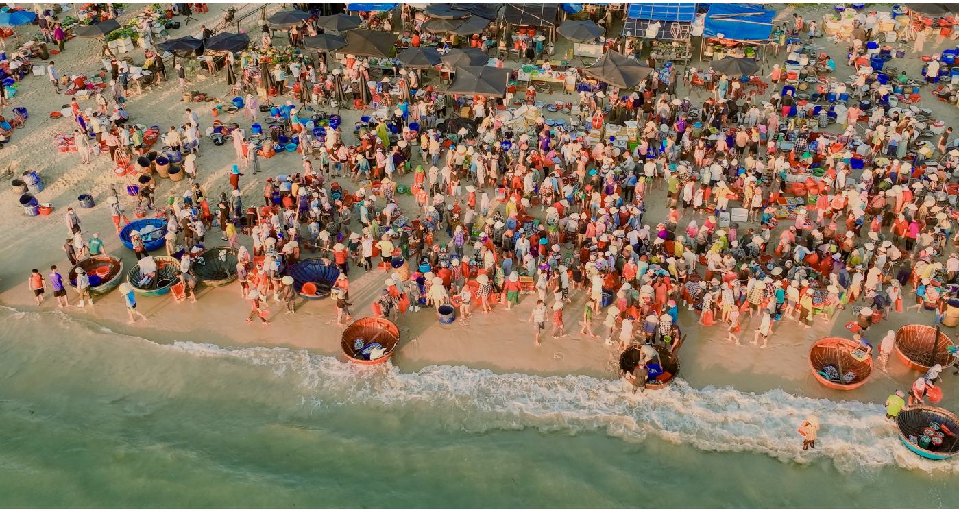 Bình minh ở chợ cá lớn nhất Quảng Nam ảnh 10