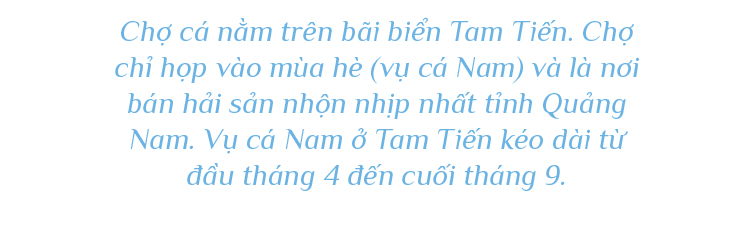 Bình minh ở chợ cá lớn nhất Quảng Nam ảnh 11