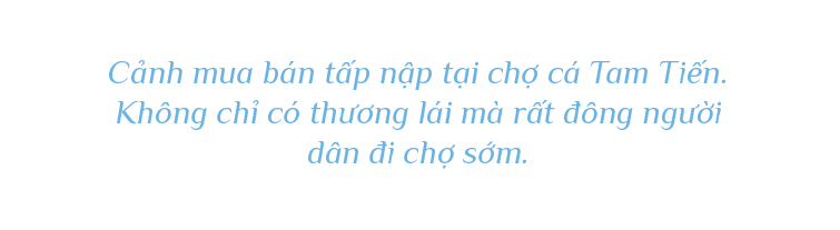 Bình minh ở chợ cá lớn nhất Quảng Nam ảnh 13