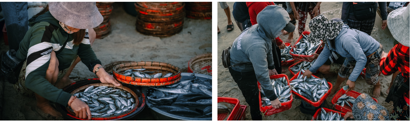 Bình minh ở chợ cá lớn nhất Quảng Nam ảnh 15