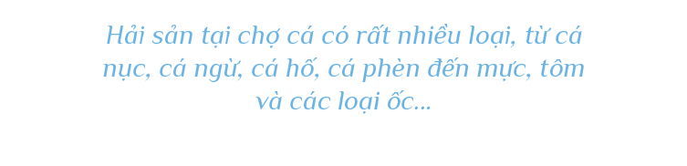 Bình minh ở chợ cá lớn nhất Quảng Nam ảnh 16