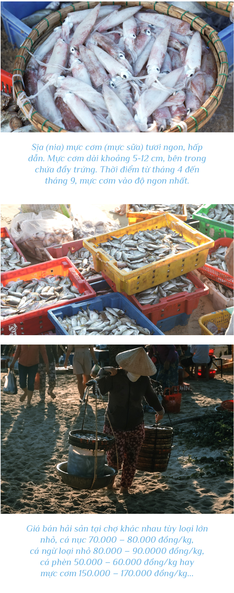 Bình minh ở chợ cá lớn nhất Quảng Nam ảnh 17